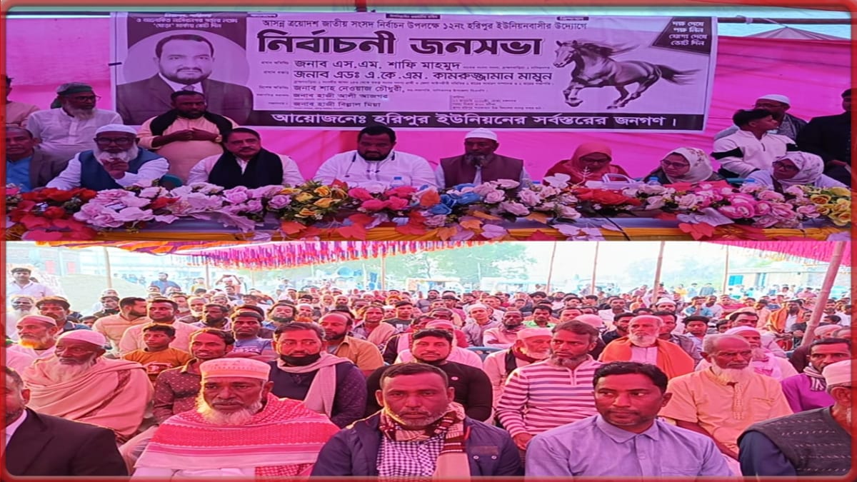 ঘোড়া প্রতীকের পক্ষে গণজোয়ার: হরিপুরে বিশাল জনসভা করলেন একেএম কামরুজ্জামান মামুন - TSB News 24