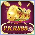 pkr888 pkr888 Profile Picture